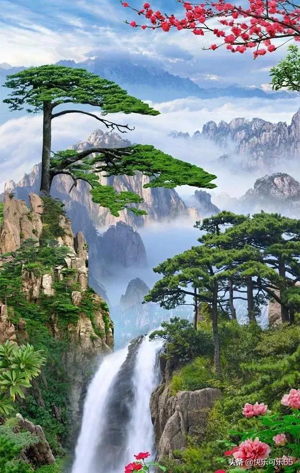 植物大战僵尸3