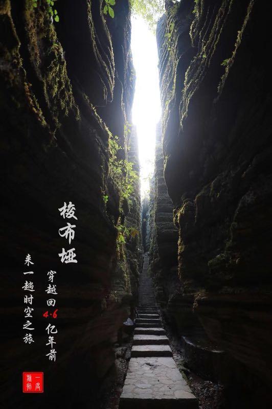 有人问我怎么辨别鲫鱼是公的还是母的游戏画面