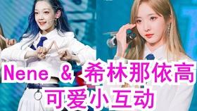 创作猫