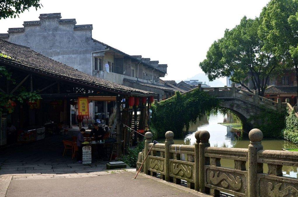 动物帮帮忙保卫家园